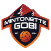 Mintonette Gobi VC